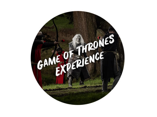 Themed birthday ideas