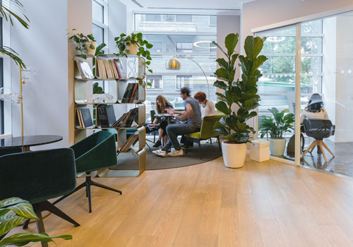 11 Ways to Immediately Make Your Workplace More Sustainable