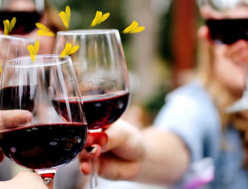 A Short and Simple Guide to Hosting a Wine Tasting at Home!